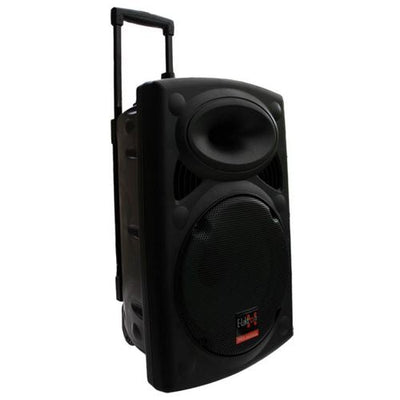 Portable 12" Speaker Laser Light Party Set W/ Battery Bluetooth Sound System 2 Mics Disco Light