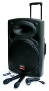 2x 15" Inch Bluetooth Portable Speakers 1800w Sound System Battery Operate USB Record 2 Microphones