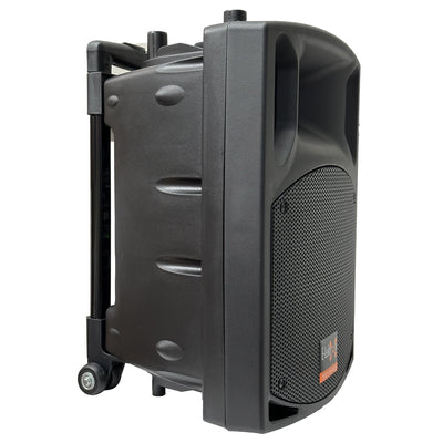 PA System Package with 15" Subwoofer 15" Portable Speaker UHF Mics and Pole