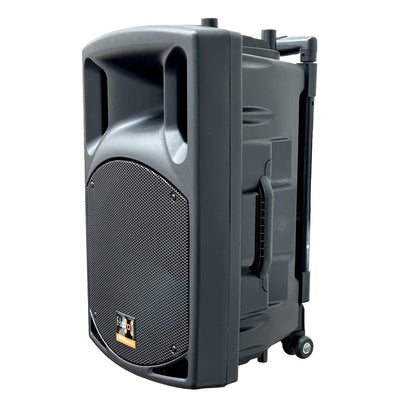 700w 12" Inch Bluetooth Wireless Linkable Portable PA Speaker Sound System Recording +.2 Mics