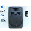 12" Inch 800w Bluetooth Powered Speaker Digital Stereo Sound System USB/SD & Linkable with RCA Cable