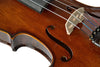 Violin 4/4 Full Size High Gloss with Rectangular Case, Bow, Bridge and Rosin