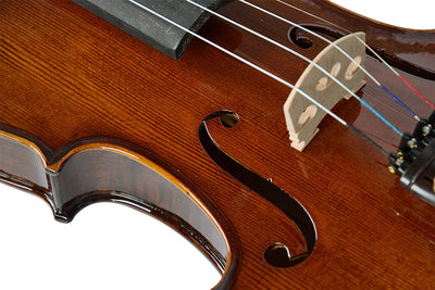 Violin 4/4 Full Size High Gloss with Rectangular Case, Bow, Bridge and Rosin