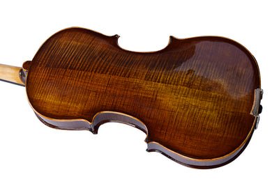 Violin 4/4 Full Size High Gloss with Rectangular Case, Bow, Bridge and Rosin