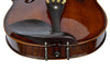 Violin 4/4 Full Size High Gloss with Rectangular Case, Bow, Bridge and Rosin