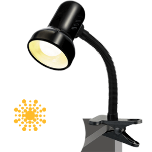 Clip-On Desk Lamp SANSAI GX6319